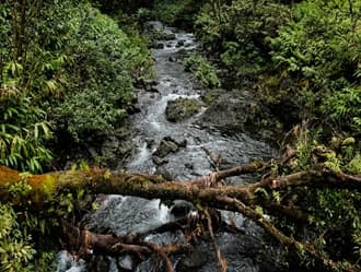 Stormwater and watershed management visualization