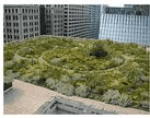 Green Roofs 189-167.png