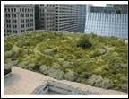 Green Roofs
