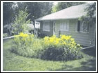 Rain Gardens